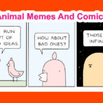 Animal Memes And Comics